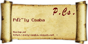 Pály Csaba névjegykártya